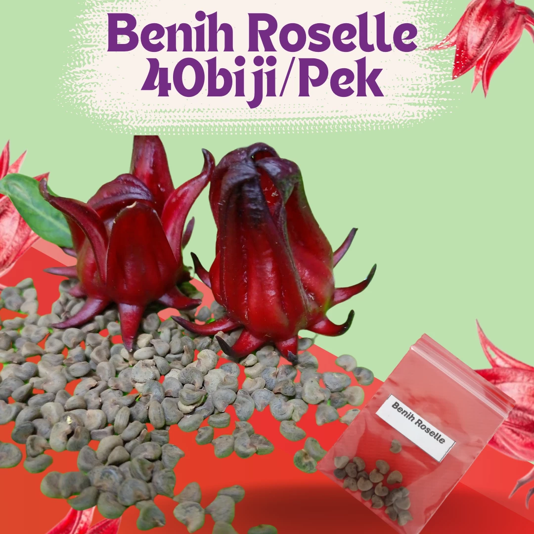 Benih Roselle