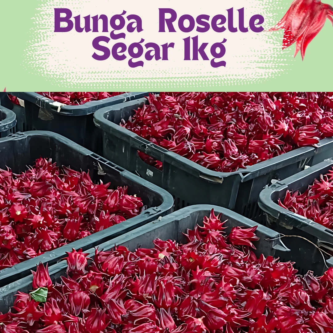 Bunga Roselle Segar